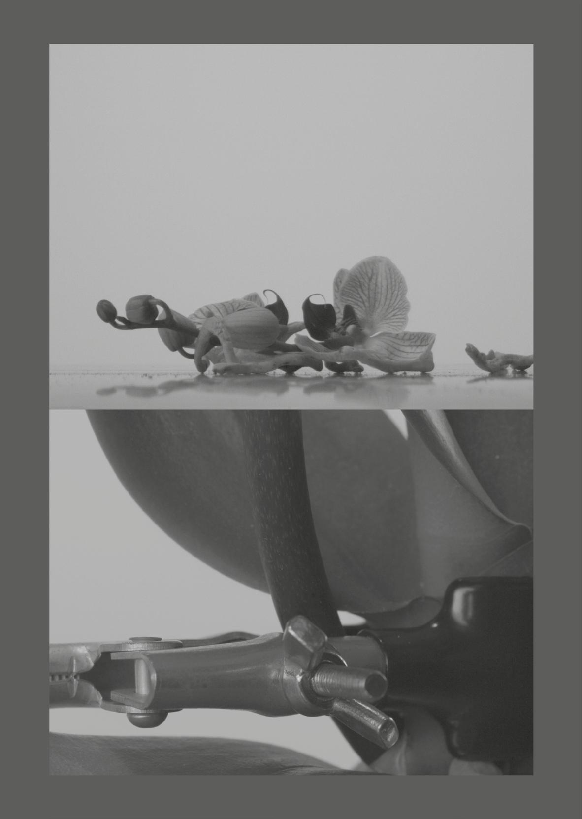 Artribune #74 by Artribune - Issuu